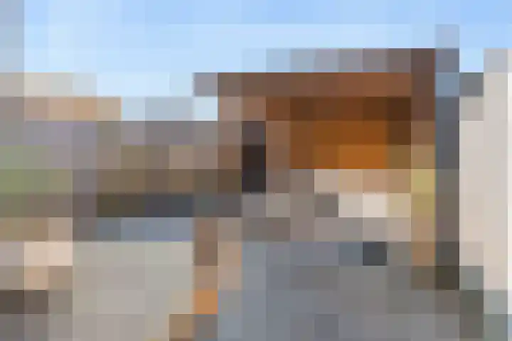 Oosterveen 17 Raalte thumbnail 25