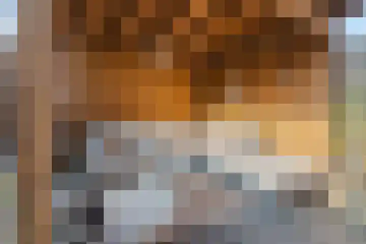 Oosterveen 17 Raalte thumbnail 26