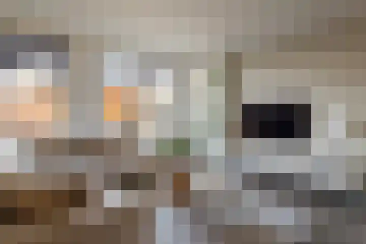 Oosterveen 17 Raalte thumbnail 4