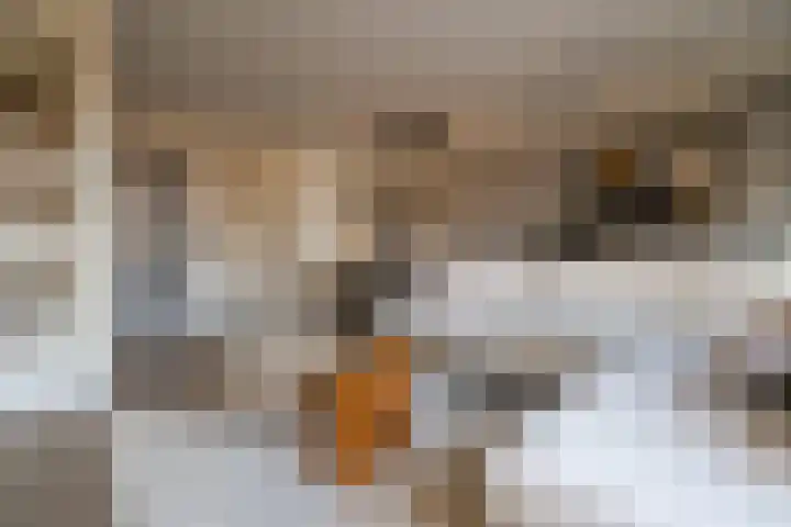 Oosterveen 17 Raalte thumbnail 6