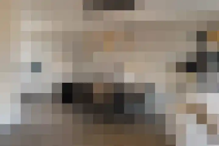 Oosterveen 17 Raalte thumbnail 7