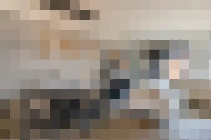 Oosterveen 17 Raalte thumbnail 8