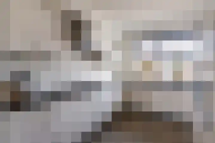 Oosterveen 17 Raalte thumbnail 9