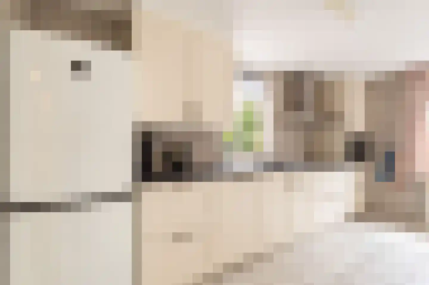 Oosterveen 18 A Nieuwleusen thumbnail 15