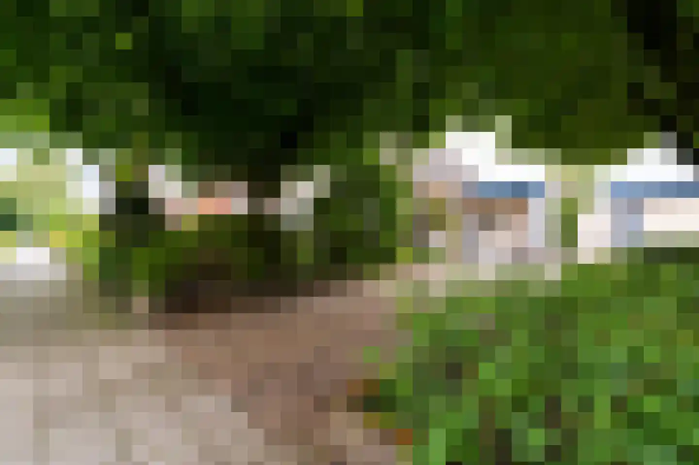 Oosterveen 18 A Nieuwleusen thumbnail 4
