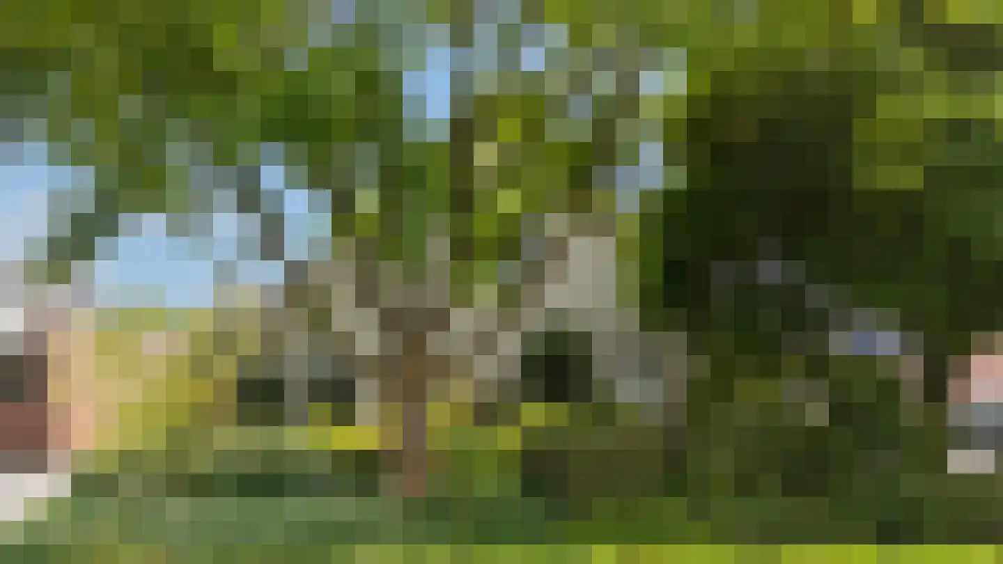 Oosterveen 18 A Nieuwleusen thumbnail 45