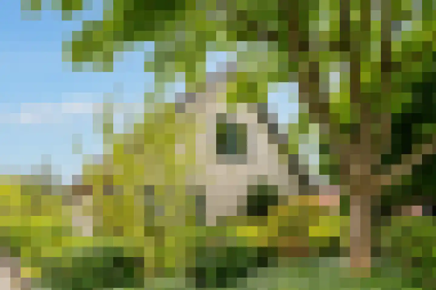 Oosterveen 18 A Nieuwleusen thumbnail 46