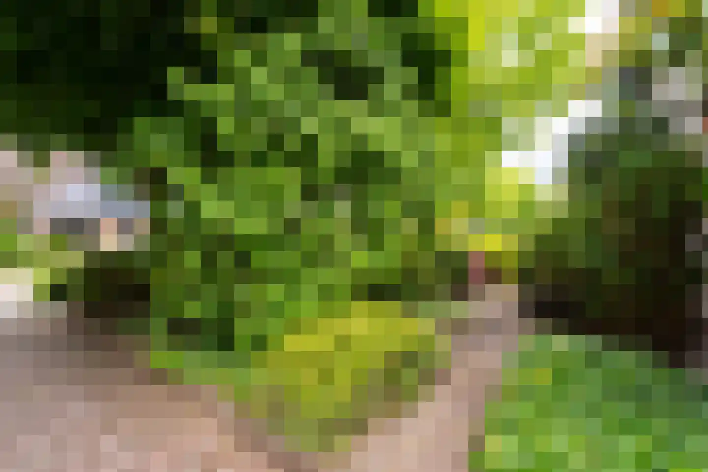 Oosterveen 18 A Nieuwleusen thumbnail 48