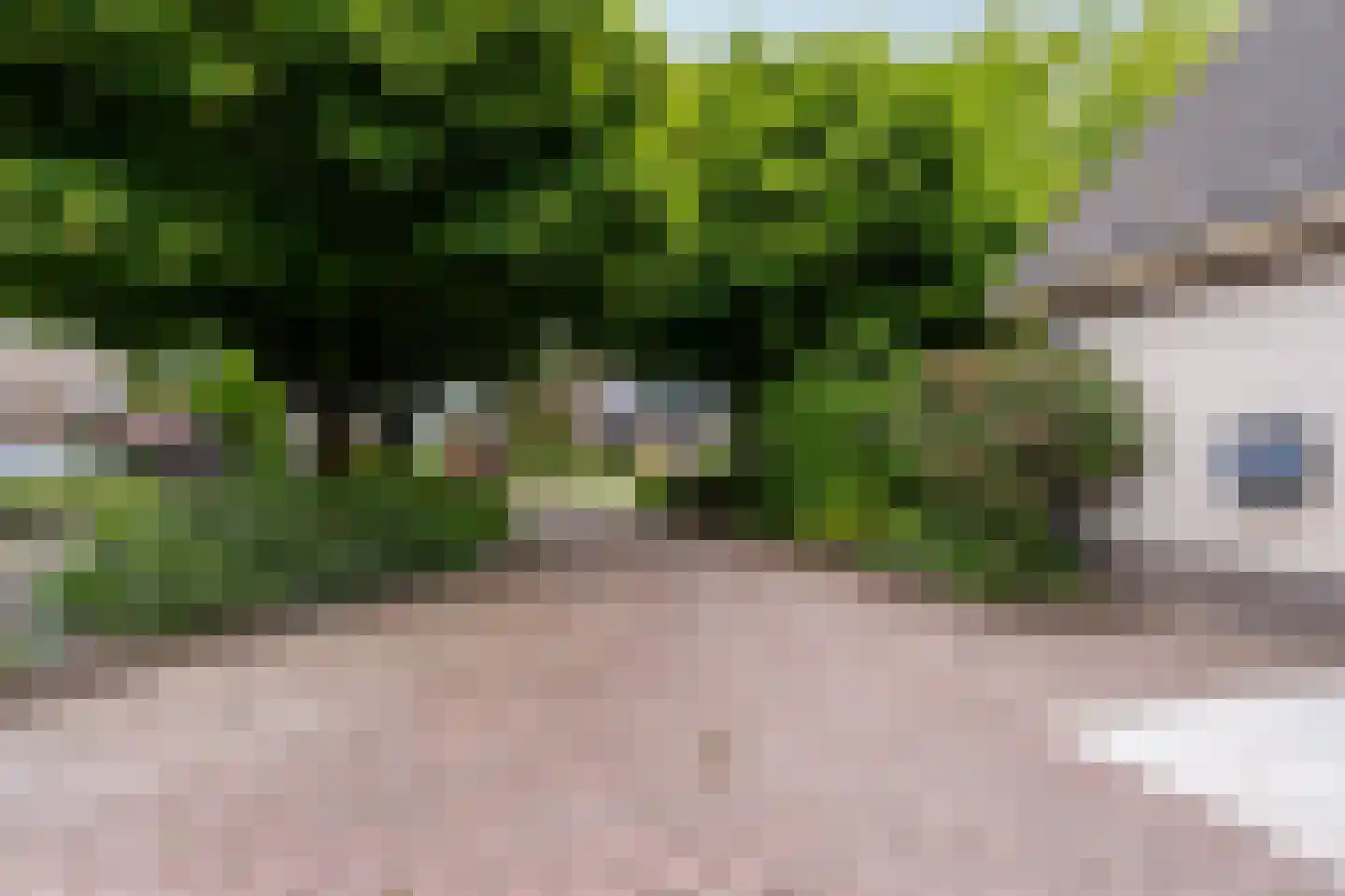 Oosterveen 18 A Nieuwleusen thumbnail 49