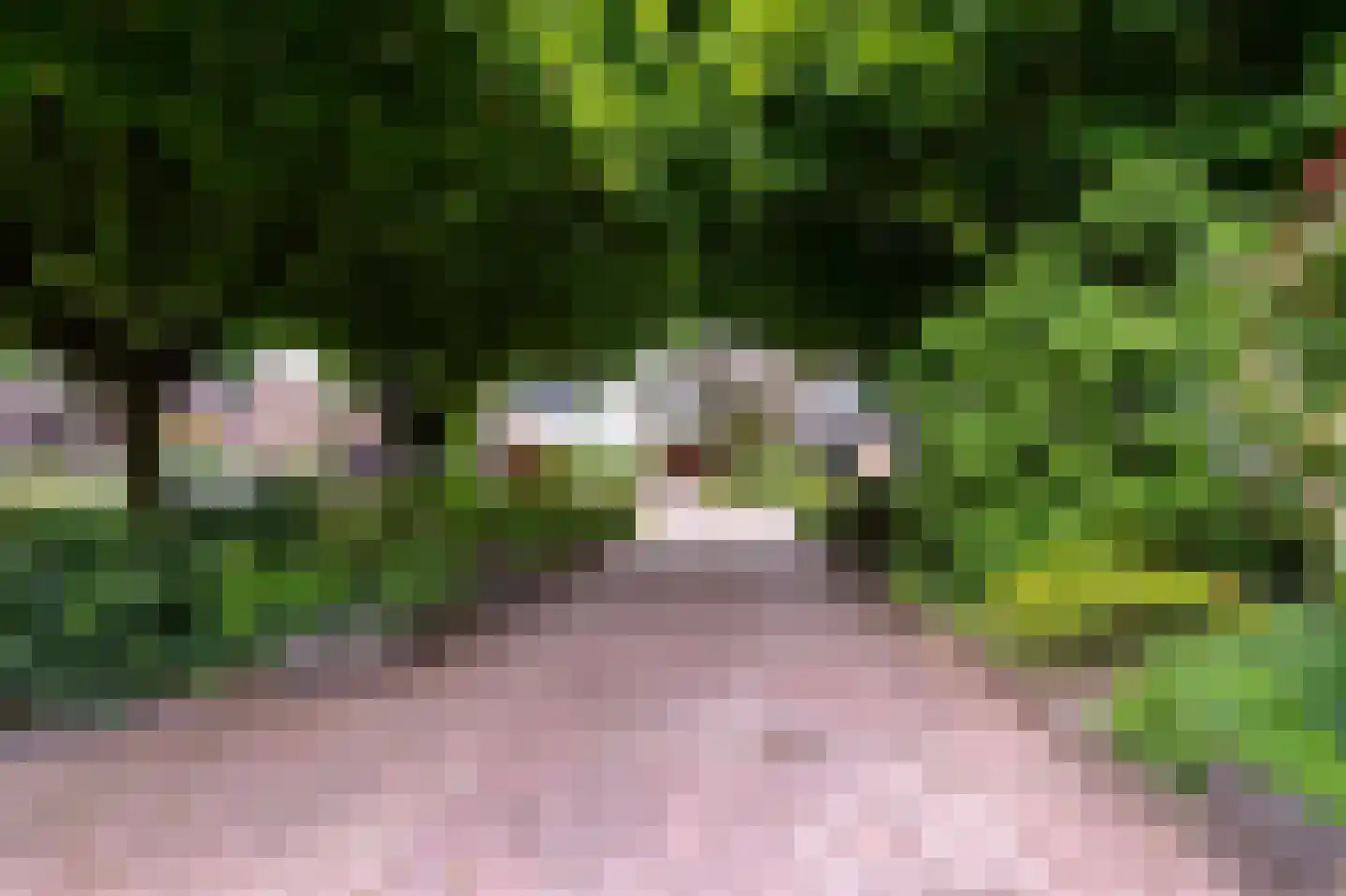 Oosterveen 18 A Nieuwleusen thumbnail 50