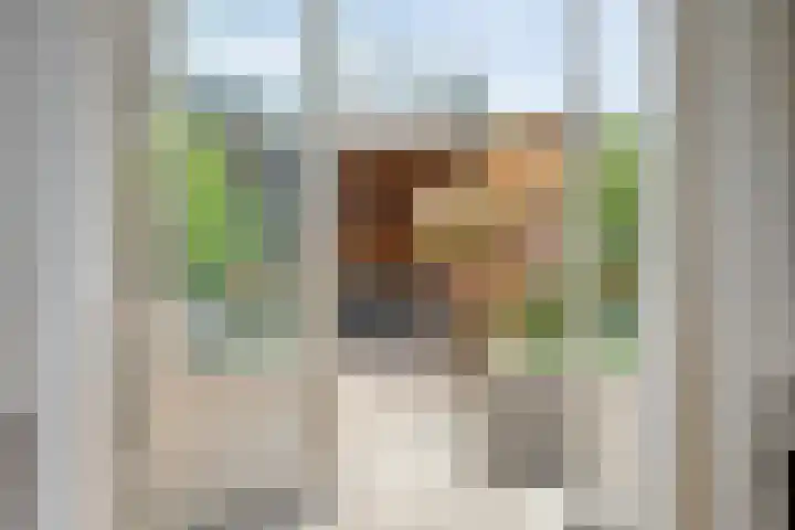 Oosterveen 20 Raalte thumbnail 13