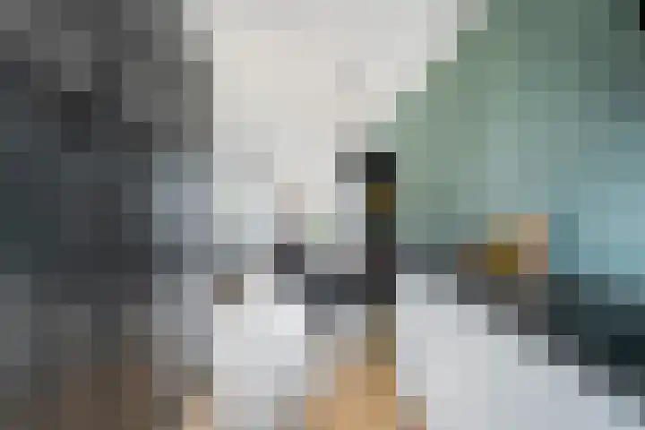 Oosterveen 20 Raalte thumbnail 15