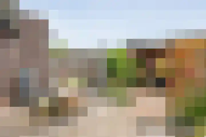 Oosterveen 20 Raalte thumbnail 33