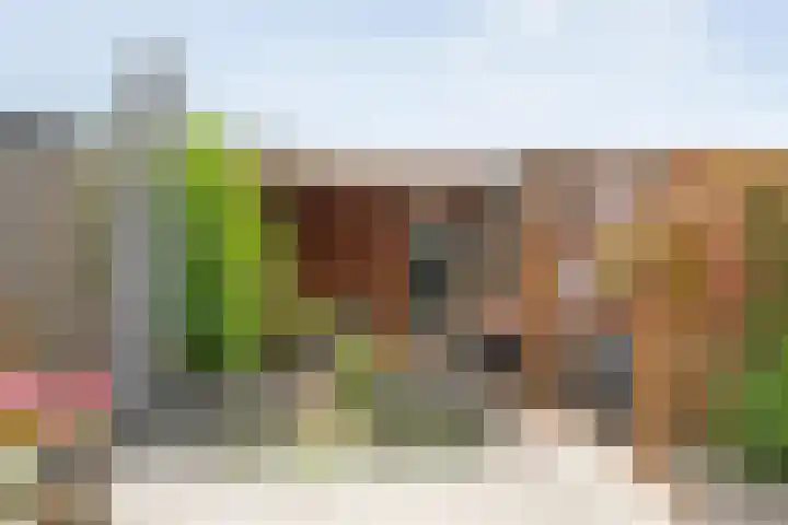 Oosterveen 20 Raalte thumbnail 34