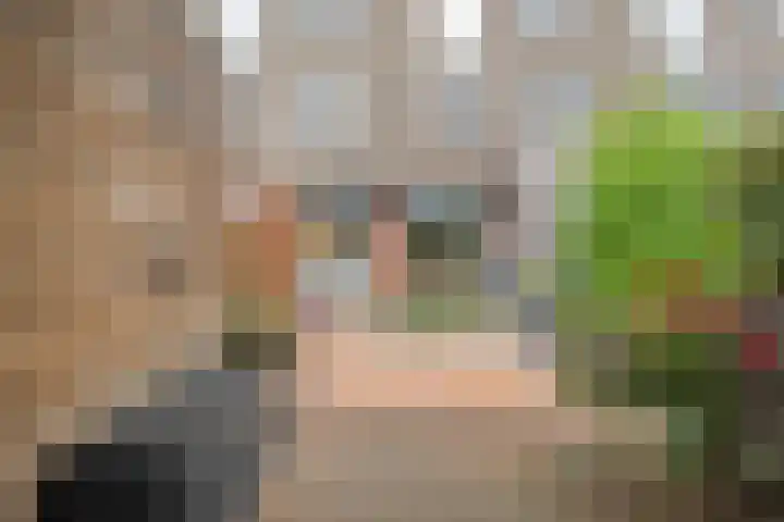 Oosterveen 20 Raalte thumbnail 41