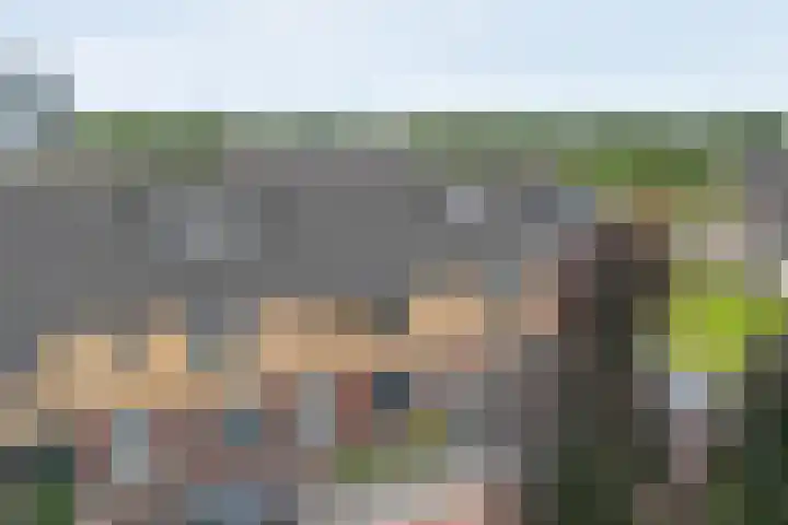 Oosterveen 20 Raalte thumbnail 42