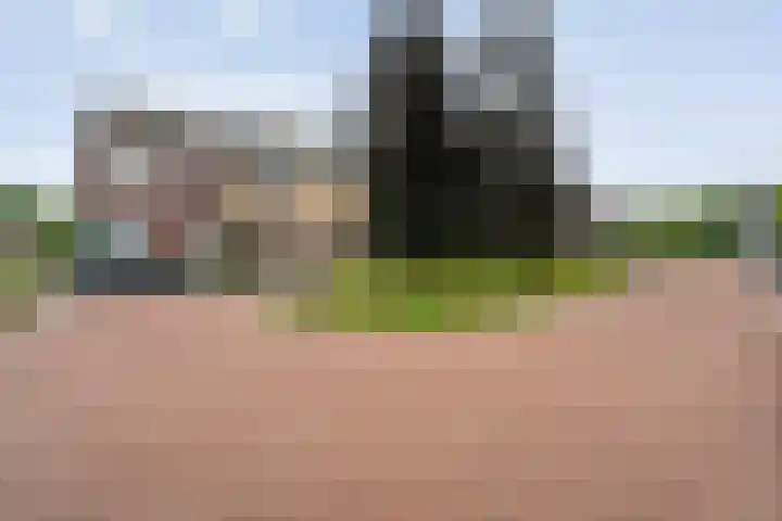 Oosterveen 20 Raalte thumbnail 43