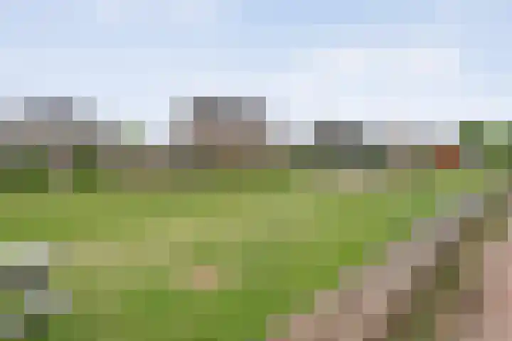 Oosterveen 20 Raalte thumbnail 44
