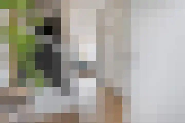 Oosterveen 20 Raalte thumbnail 5