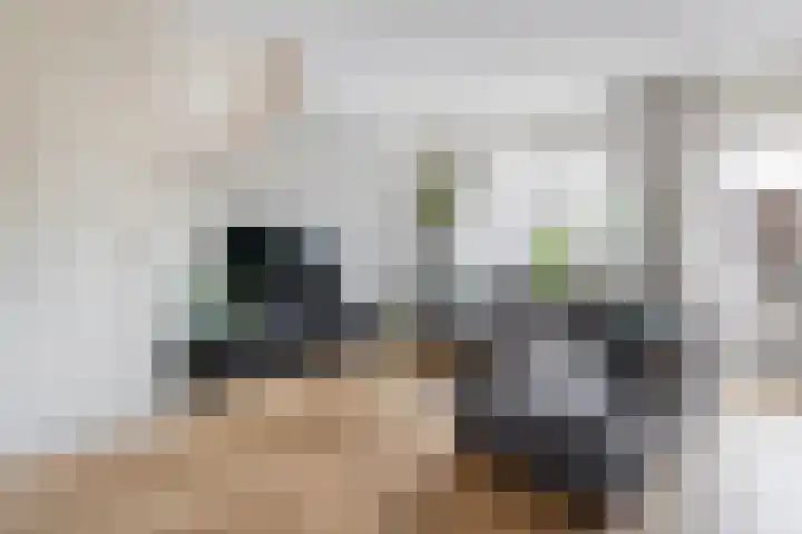Oosterveen 20 Raalte thumbnail 7