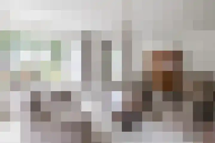 Oosterveen 21 K Nieuwleusen thumbnail 11