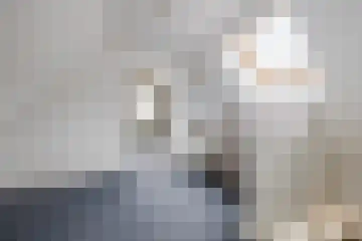 Oosterveen 21 K Nieuwleusen thumbnail 26