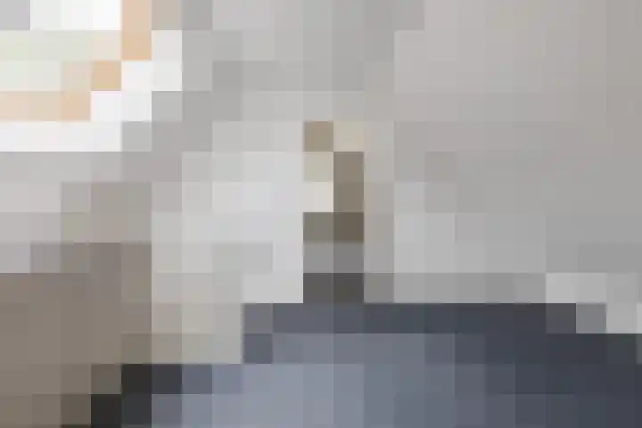 Oosterveen 21 K Nieuwleusen thumbnail 27