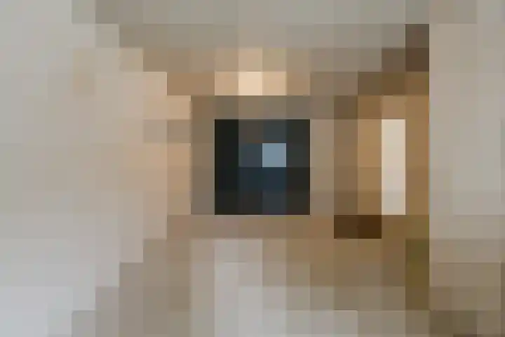 Oosterveen 21 K Nieuwleusen thumbnail 34