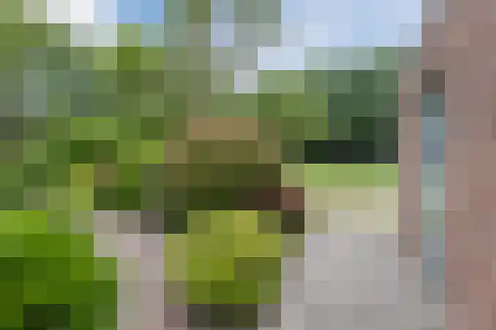 Oosterveen 21 K Nieuwleusen thumbnail 36