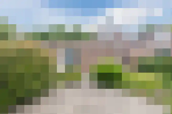 Oosterveen 21 K Nieuwleusen thumbnail 38