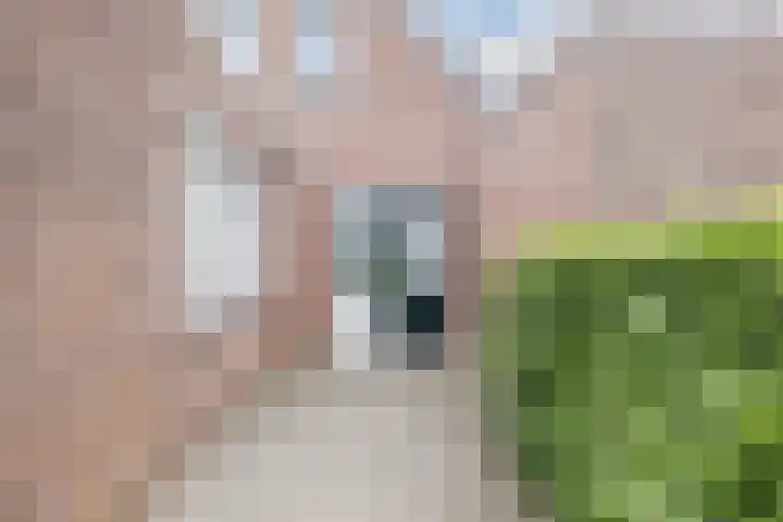 Oosterveen 21 K Nieuwleusen thumbnail 39
