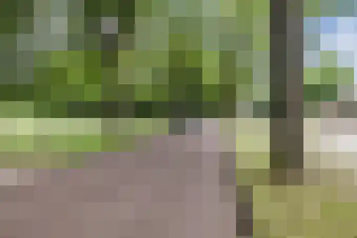 Oosterveen 21 K Nieuwleusen thumbnail 4