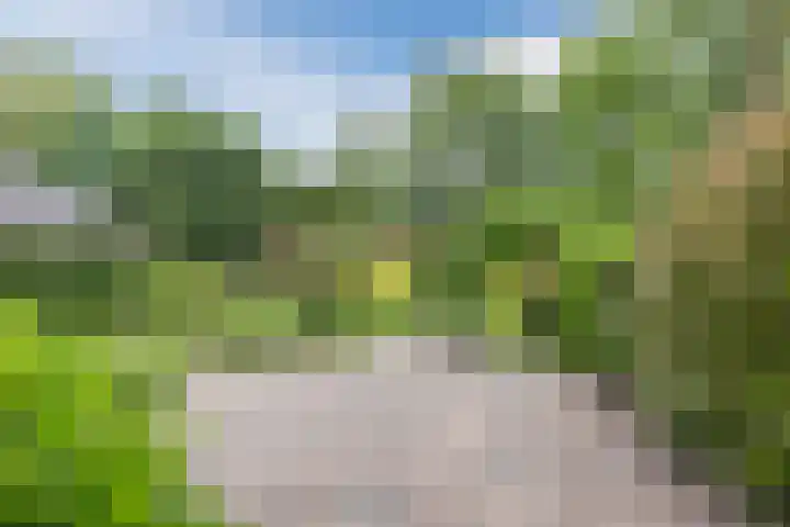 Oosterveen 21 K Nieuwleusen thumbnail 40