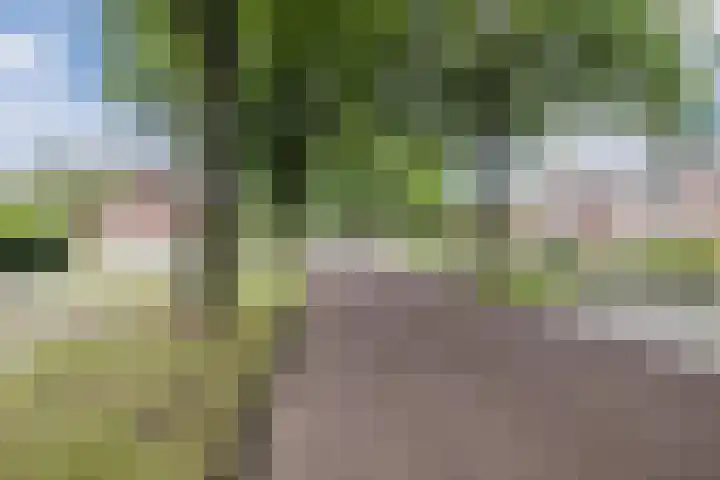 Oosterveen 21 K Nieuwleusen thumbnail 5