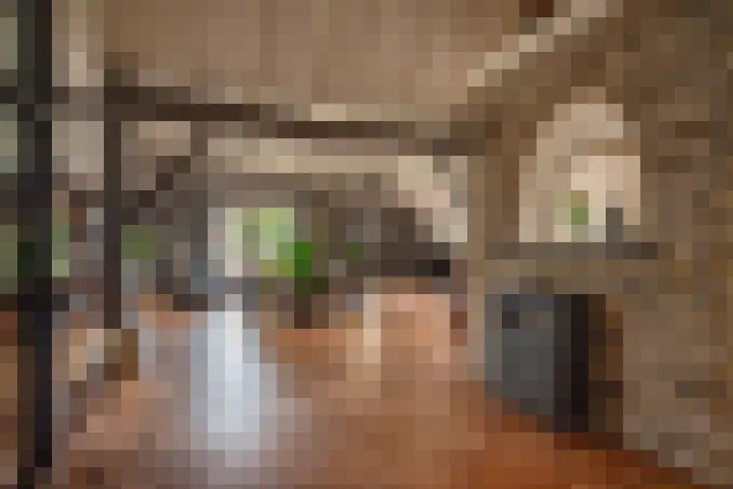 Oosterveen 35 Nieuwleusen thumbnail 10