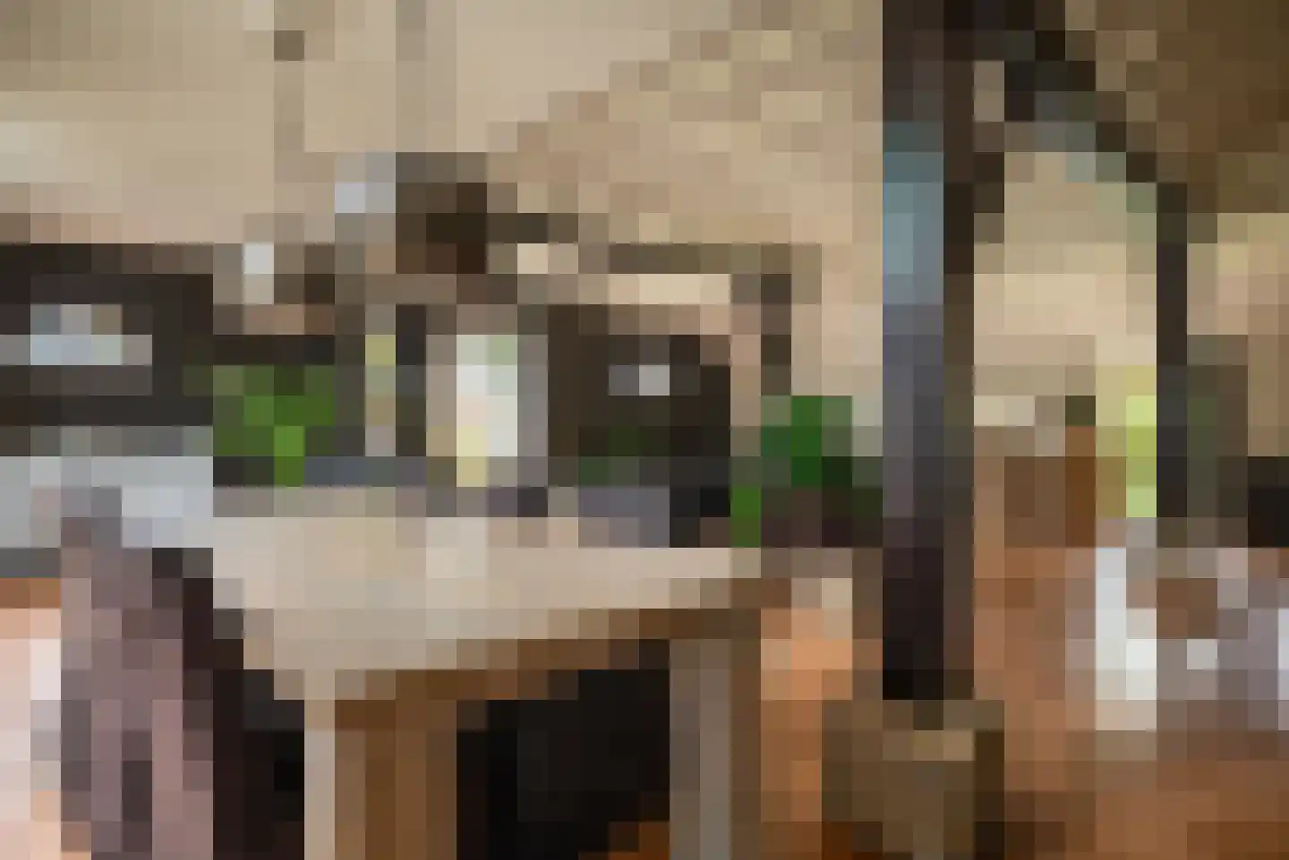 Oosterveen 35 Nieuwleusen thumbnail 11