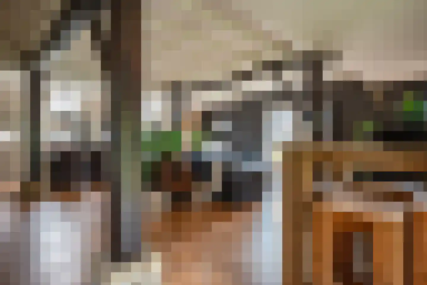 Oosterveen 35 Nieuwleusen thumbnail 12
