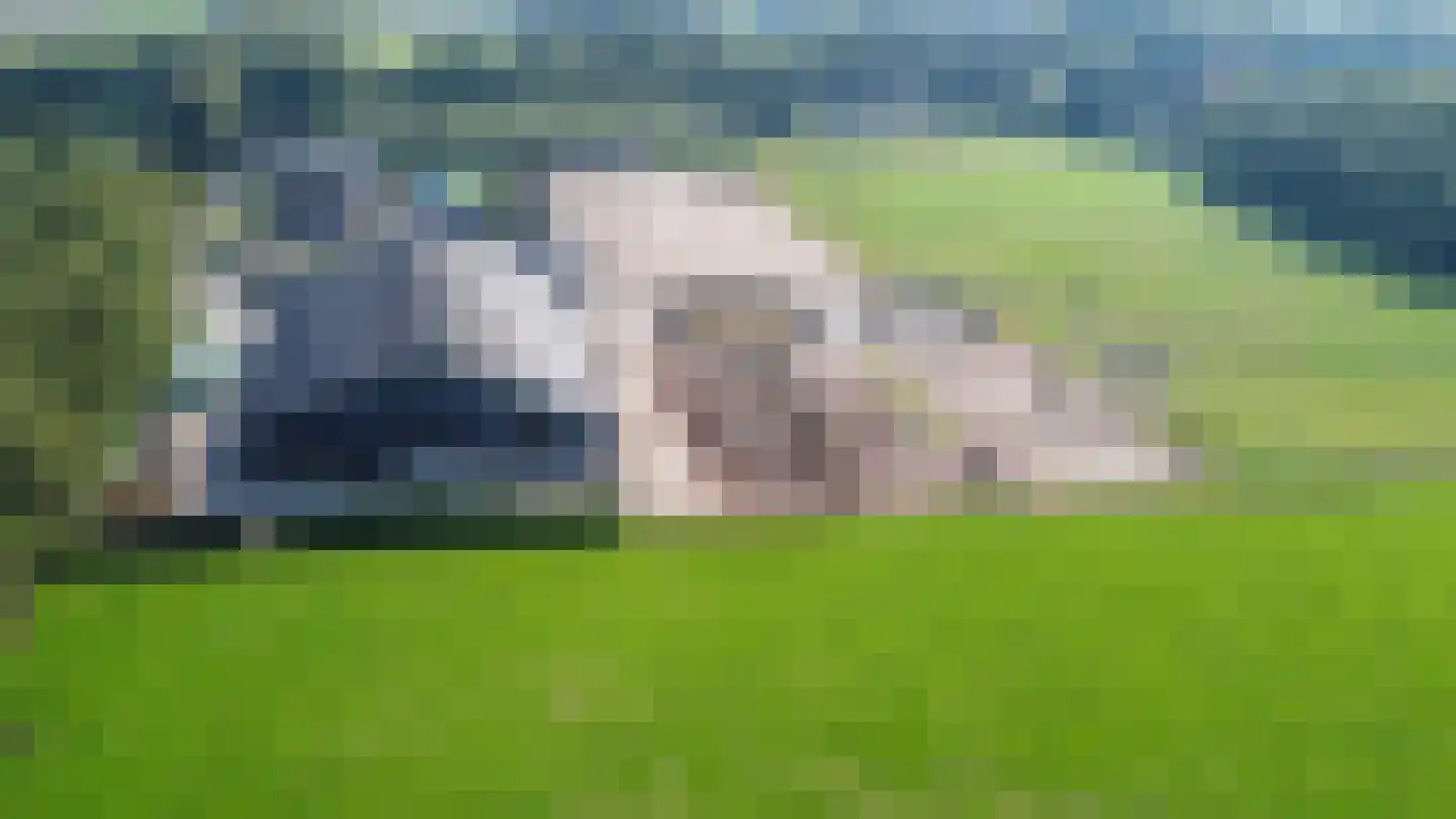 Oosterveen 35 Nieuwleusen thumbnail 37