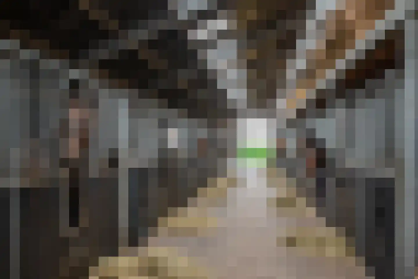 Oosterveen 35 Nieuwleusen thumbnail 4