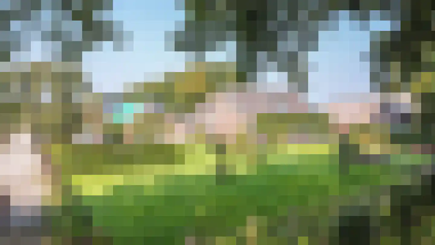 Oosterveen 35 Nieuwleusen thumbnail 5