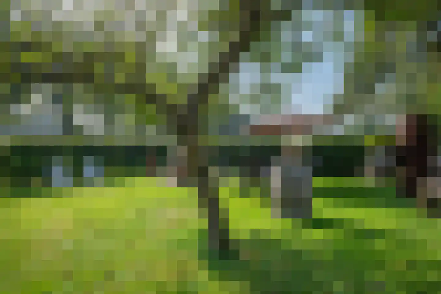 Oosterveen 35 Nieuwleusen thumbnail 55