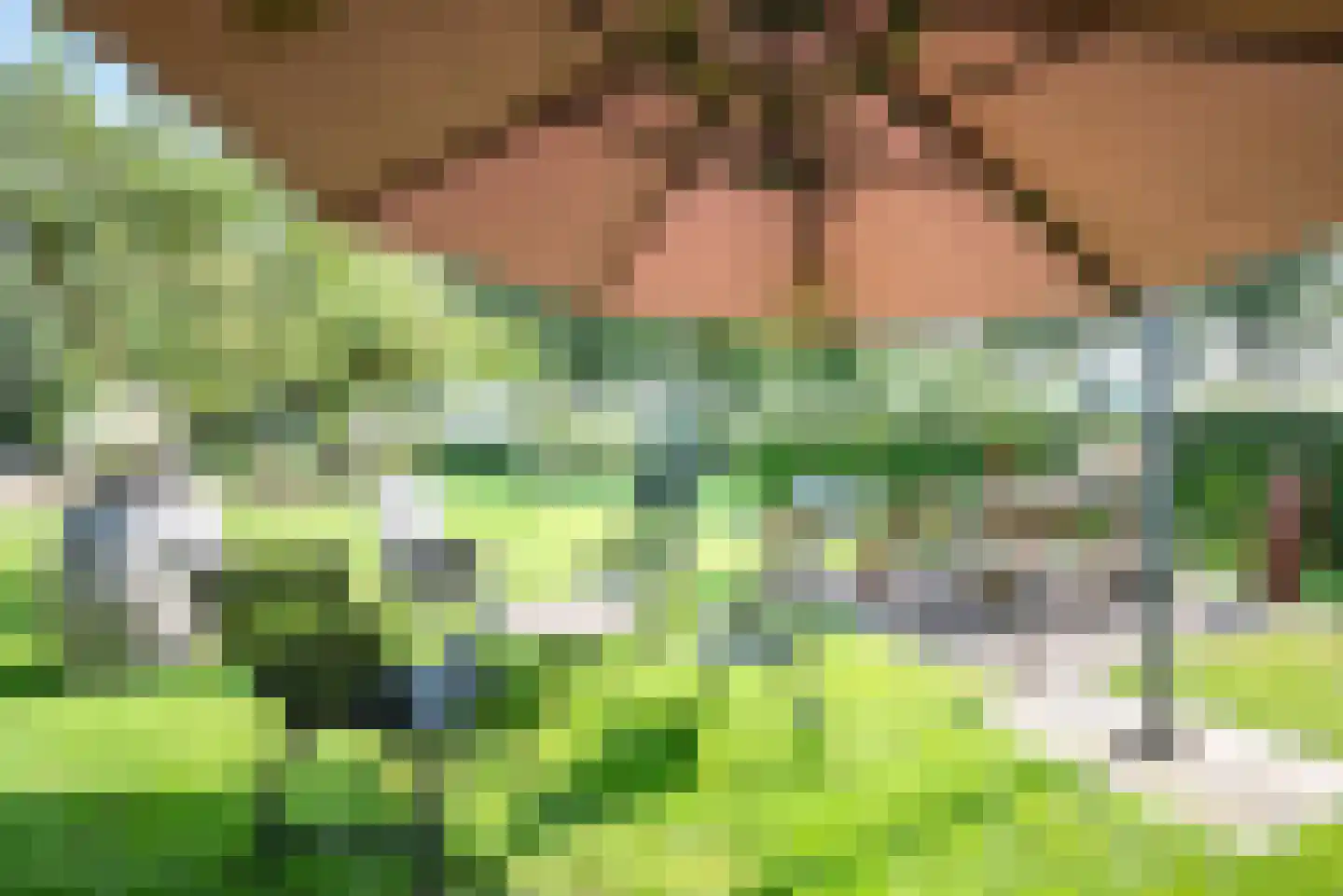 Oosterveen 35 Nieuwleusen thumbnail 56