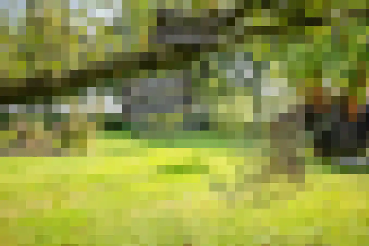 Oosterveen 35 Nieuwleusen thumbnail 57