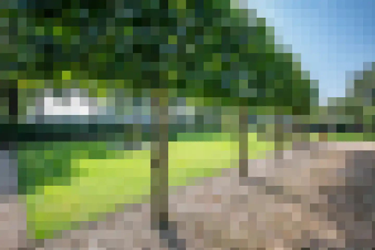 Oosterveen 35 Nieuwleusen thumbnail 60