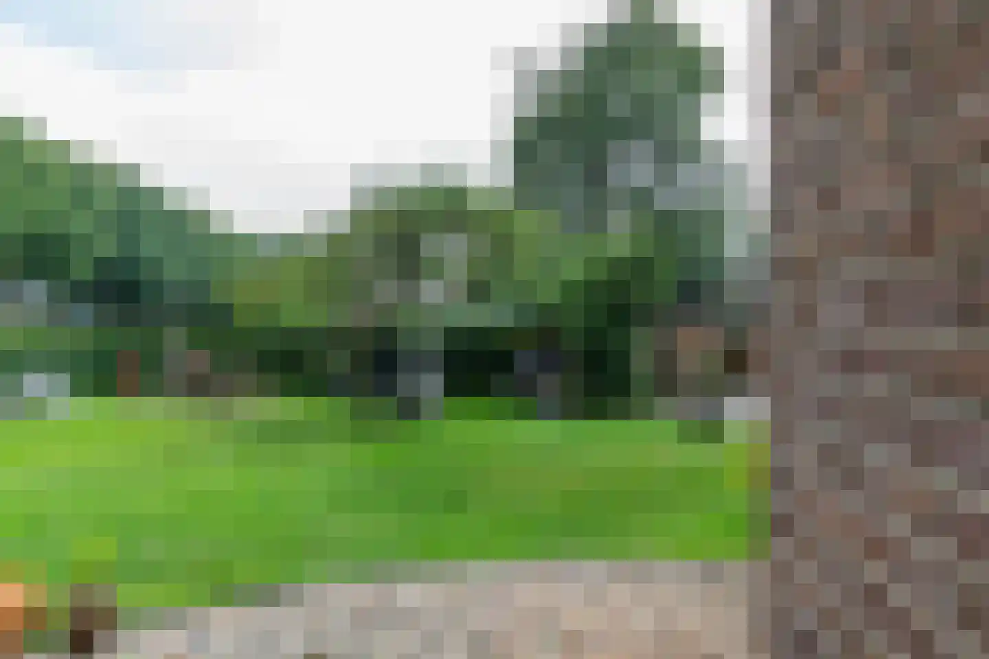 Oosterveen 35 Nieuwleusen thumbnail 65