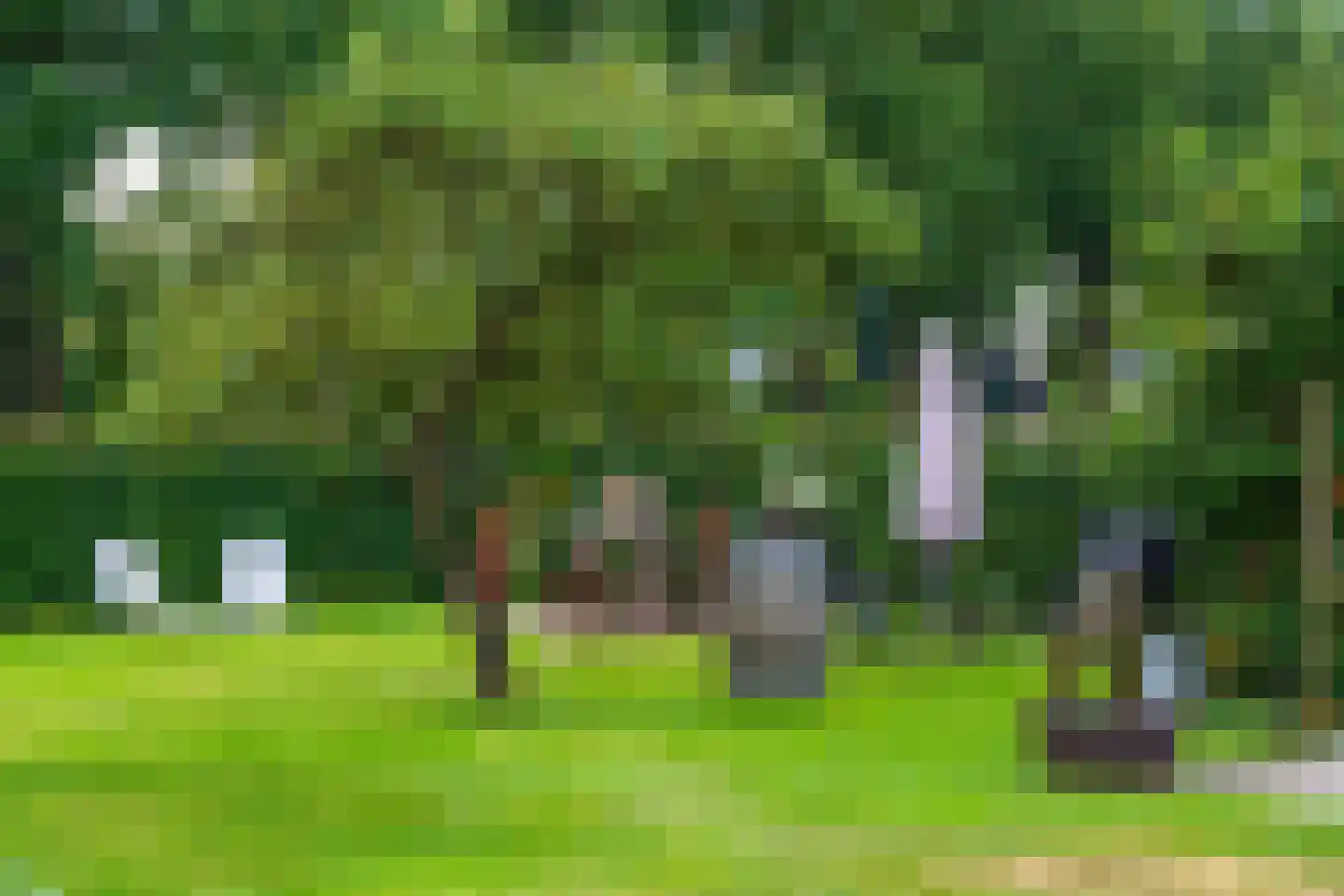 Oosterveen 35 Nieuwleusen thumbnail 66