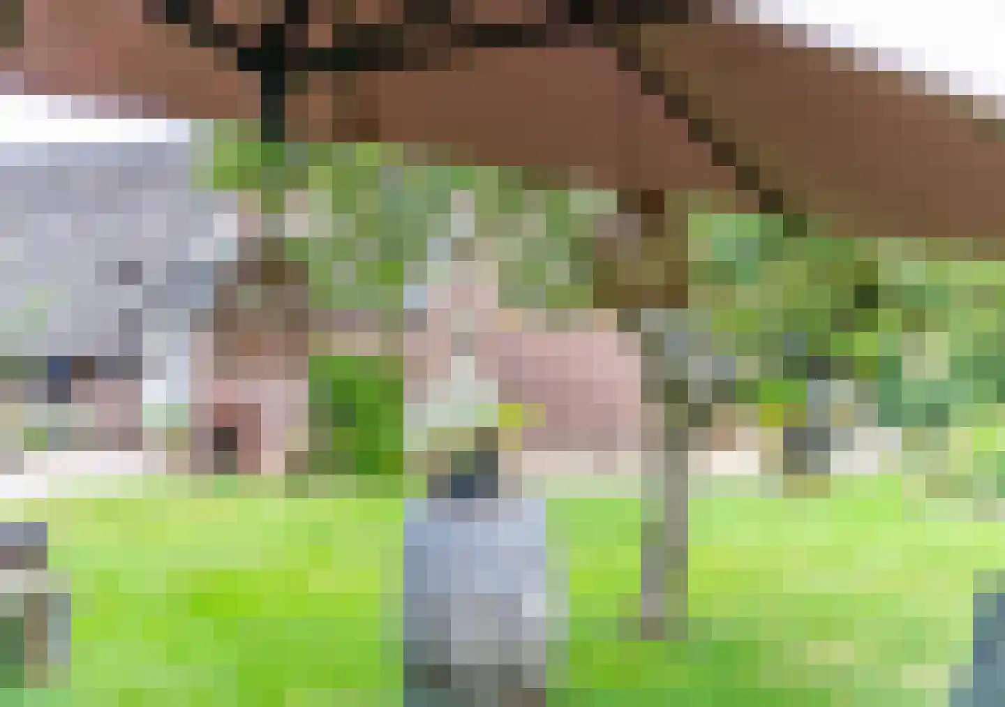 Oosterveen 35 Nieuwleusen thumbnail 67