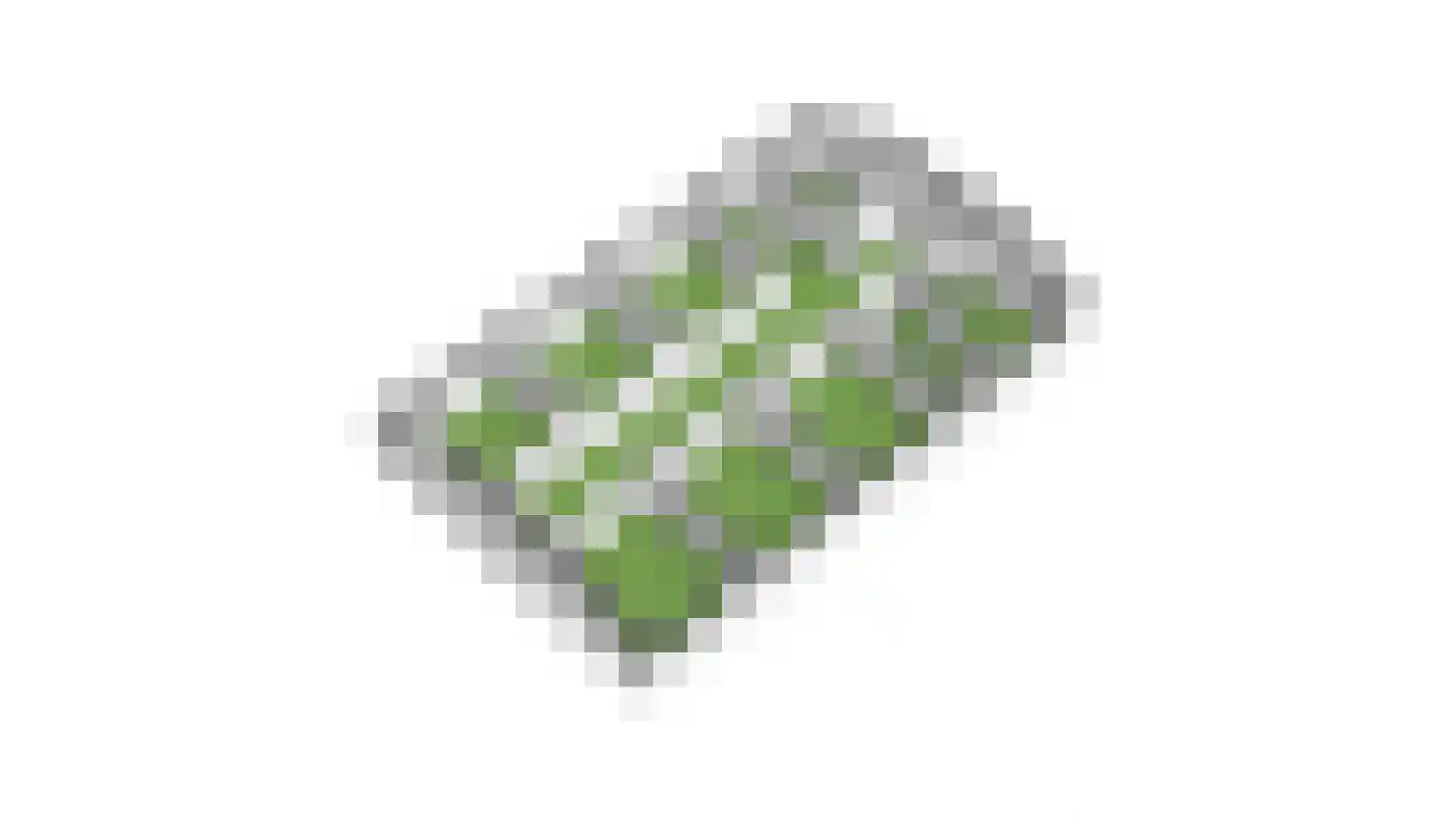 Oosterveen 35 Nieuwleusen thumbnail 82
