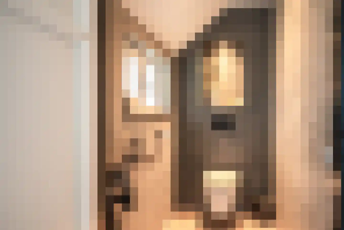 Oosterveen 35 Nieuwleusen thumbnail 9