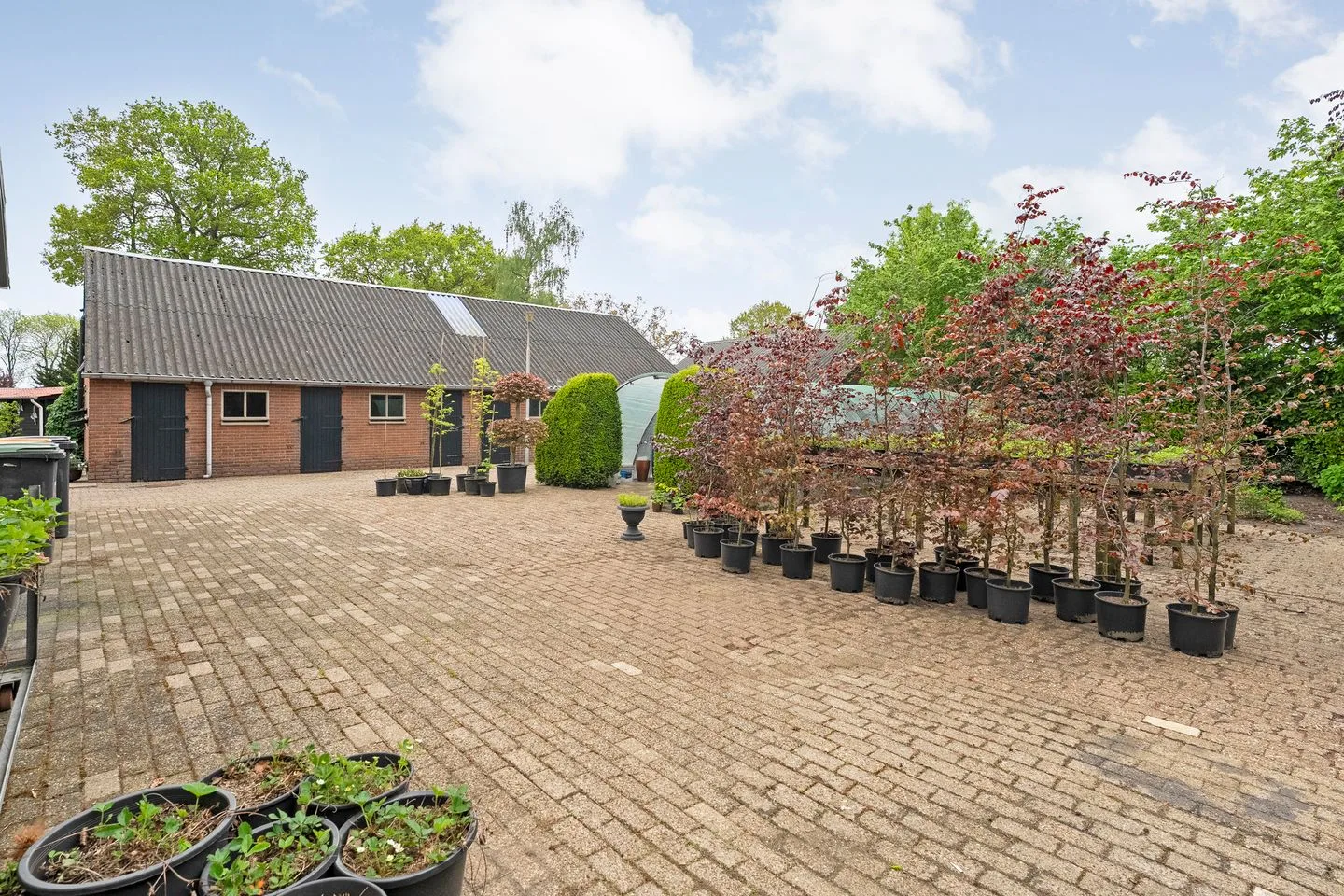 Oosterveen 57 Nieuwleusen thumbnail 42